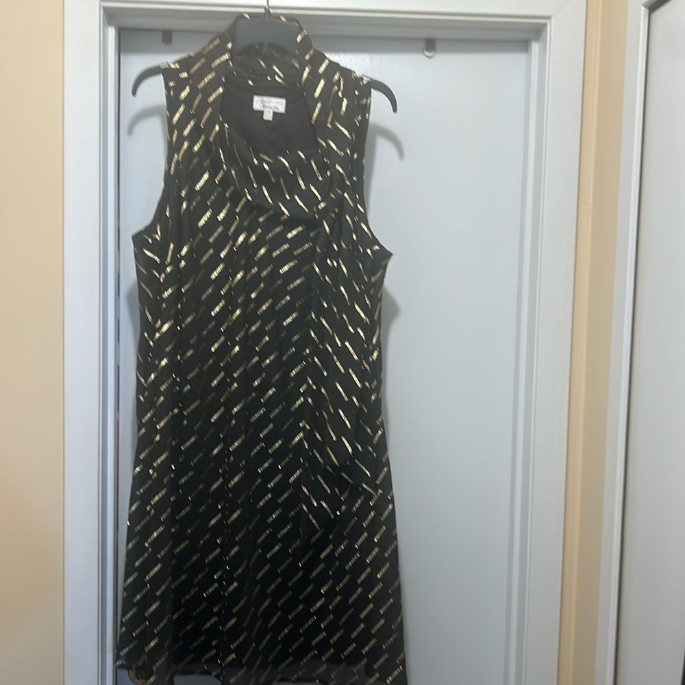 Beautiful black and gold knee length dress for a special occasion.
